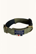 Set Olive PopBrain — collier et accessoires chien en velours côtelé kaki, quincaillerie bronze vieilli
