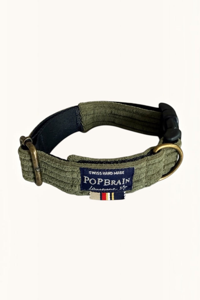 Olive