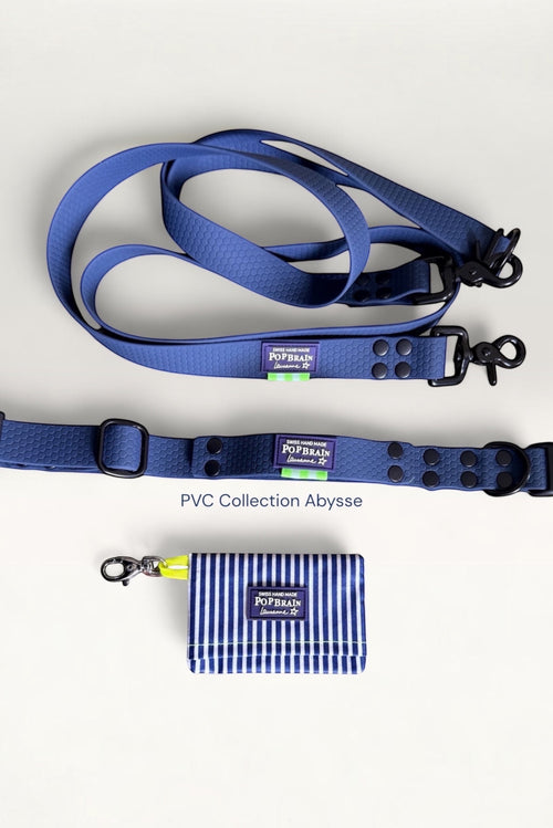 Popbrain blue honeycomb PVC dog collar, leash, and striped waste bag holder set with matte black hardware.