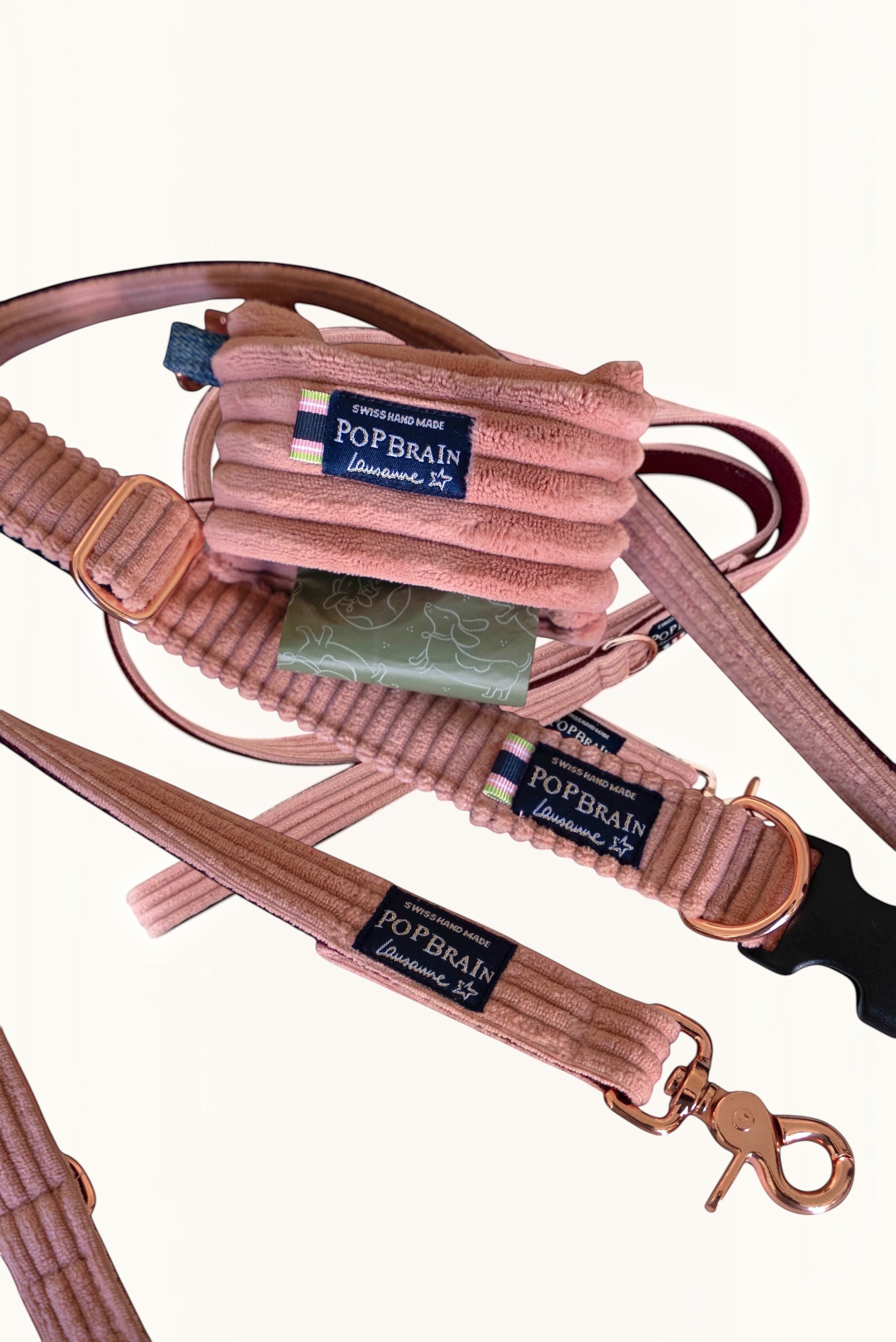 Popbrain Candy dog leash and matching waste bag holder in powder pink corduroy with rose gold hardware.