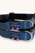 Popbrain handmade indigo denim dog collar with silver hardware and branded label, crafted in Lausanne.
