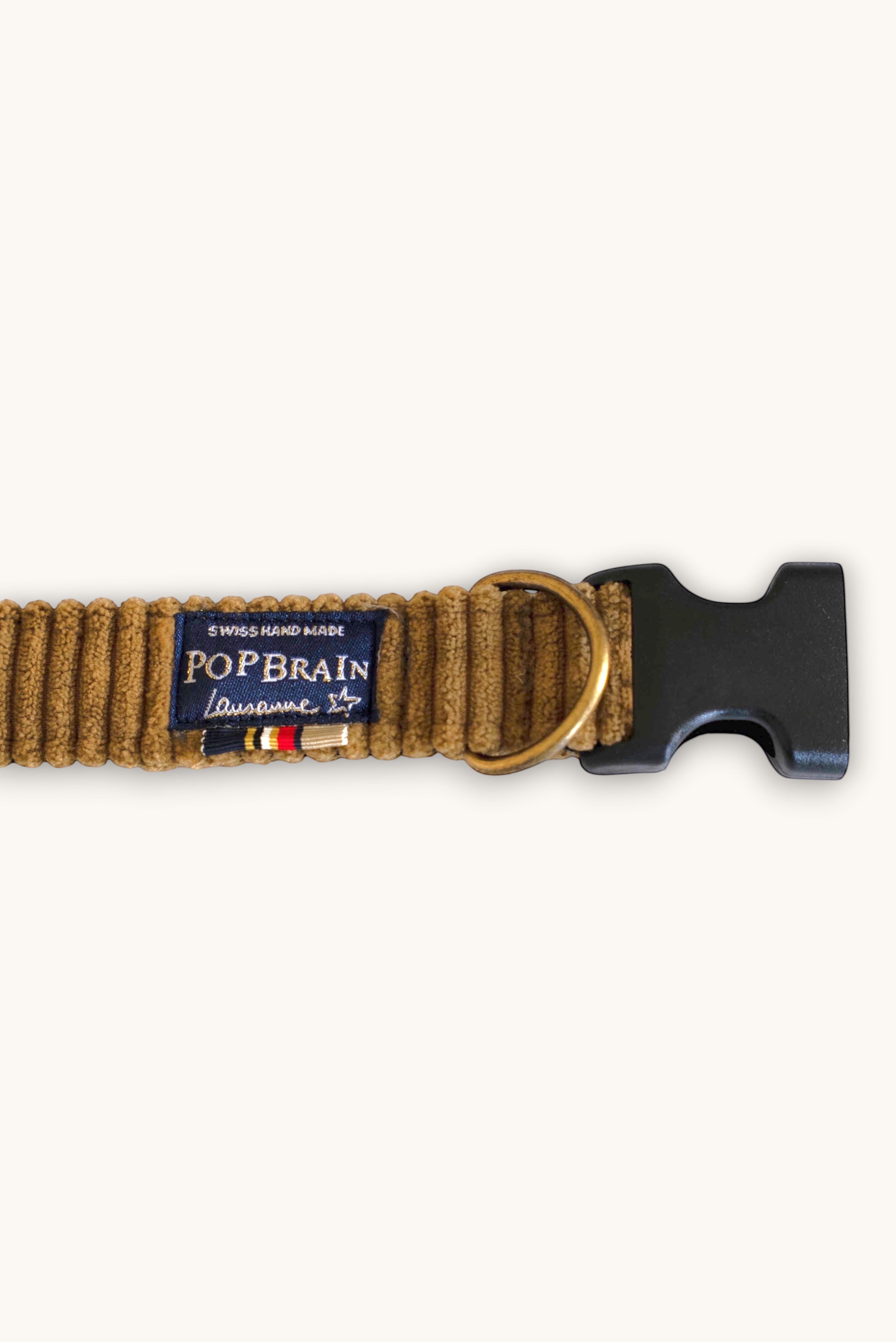 Popbrain Safari dog collar in camel corduroy with aged bronze hardware and a Swiss handmade label