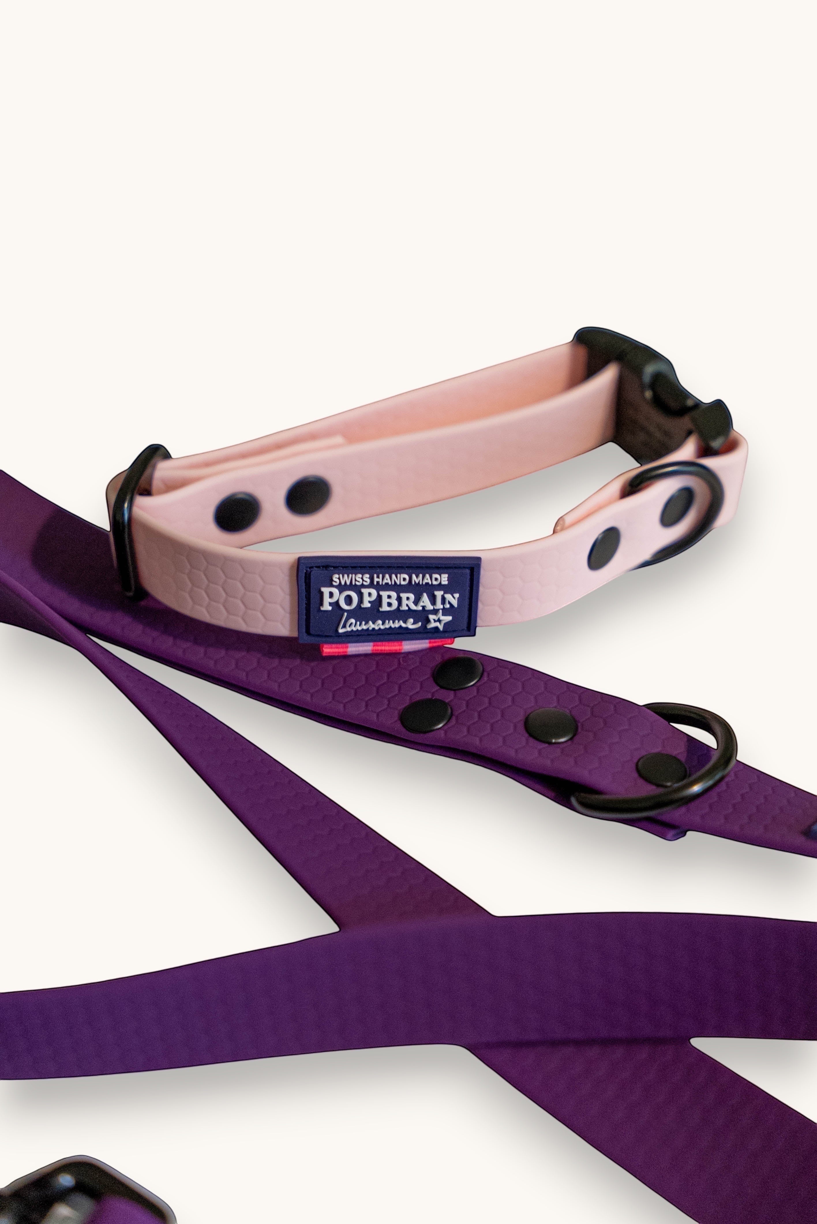 Popbrain waterproof PVC dog collar and leash set in pastel pink and deep purple with matte black hardware
