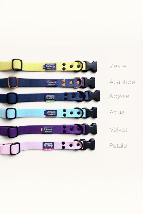 Popbrain waterproof PVC dog collars in various colours with honeycomb texture and matte black hardware