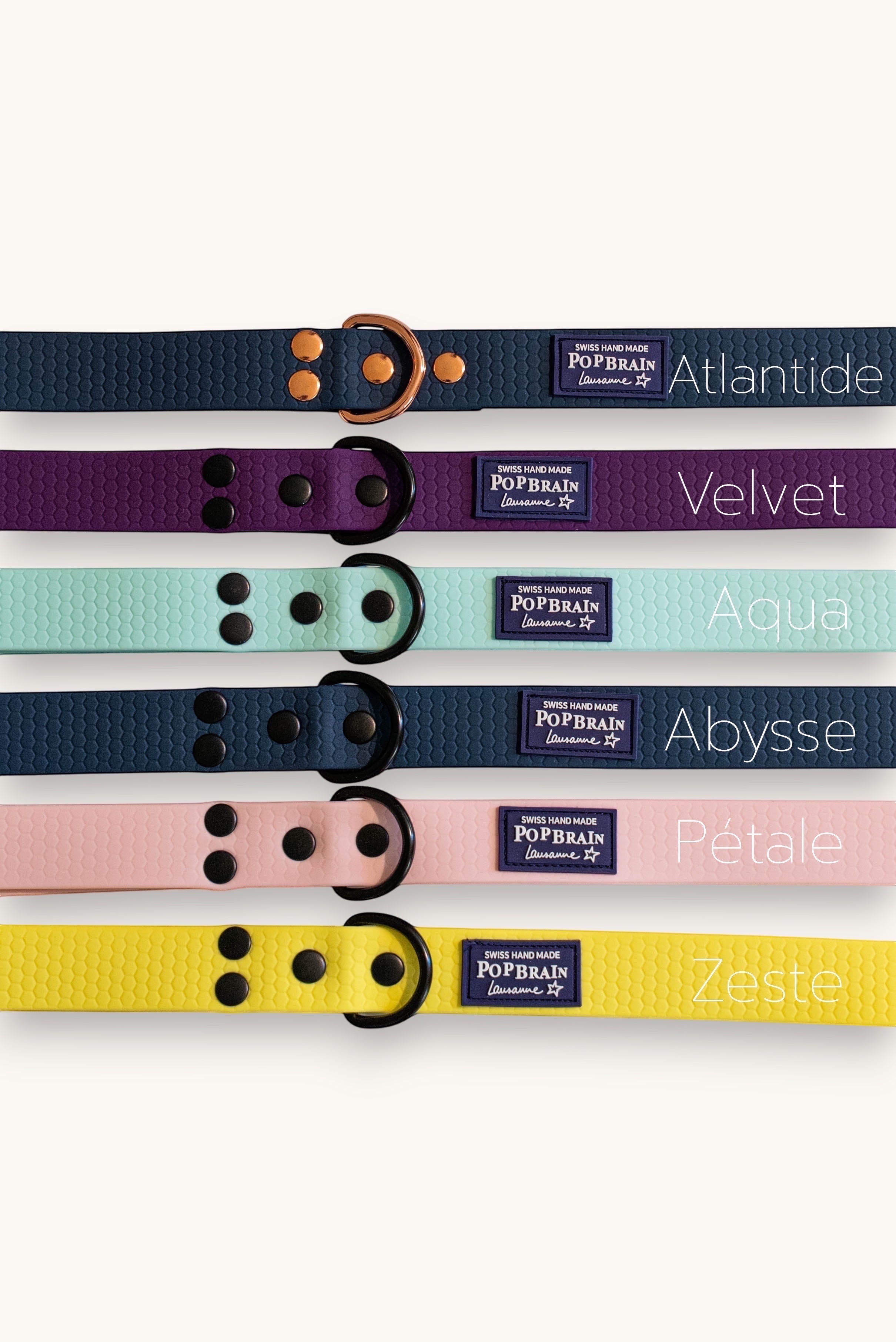 Popbrain waterproof PVC dog leashes in various colors with honeycomb texture and black matte hardware