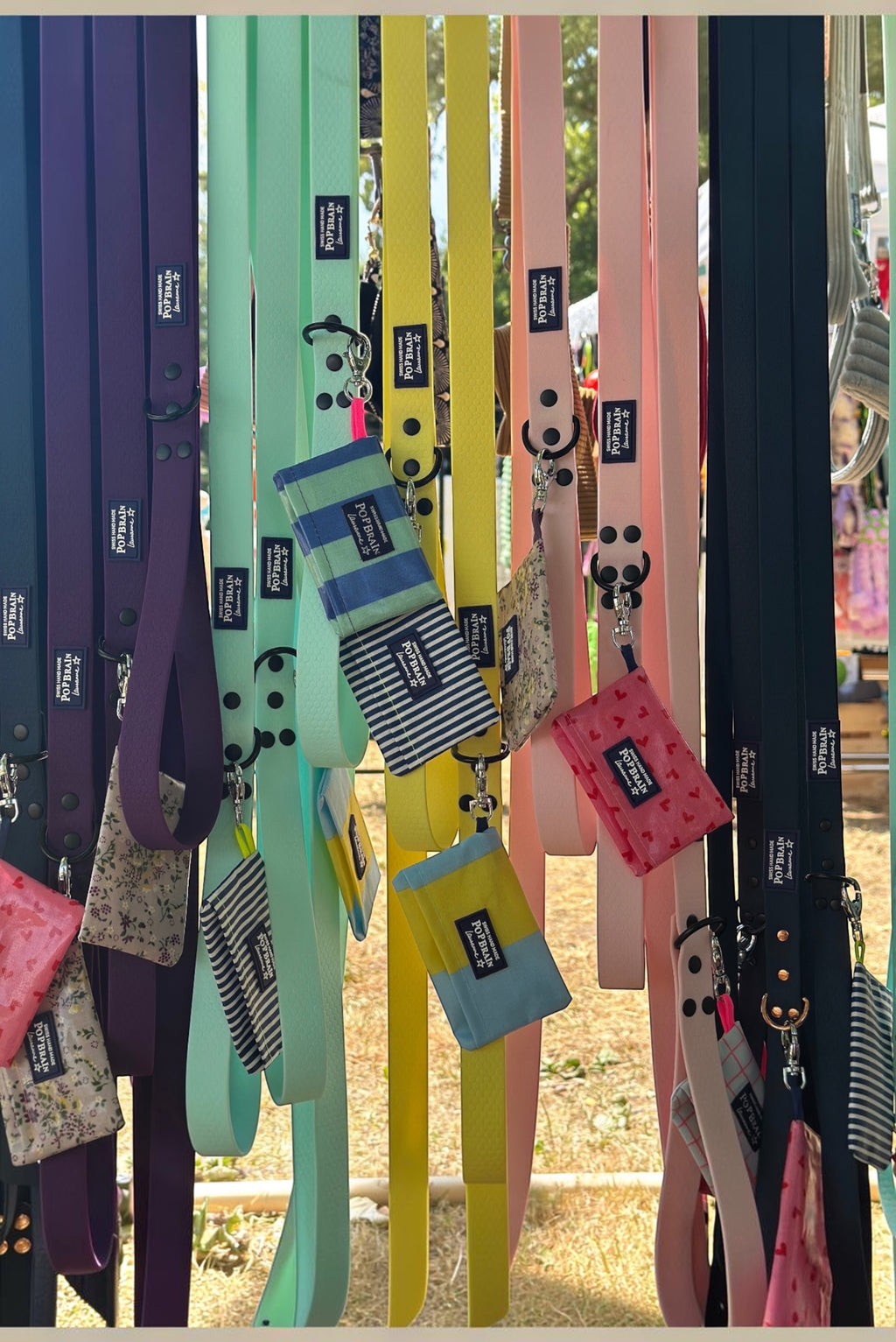 Popbrain waterproof PVC dog leashes in various bright colors with matte black hardware and matching treat pouches.